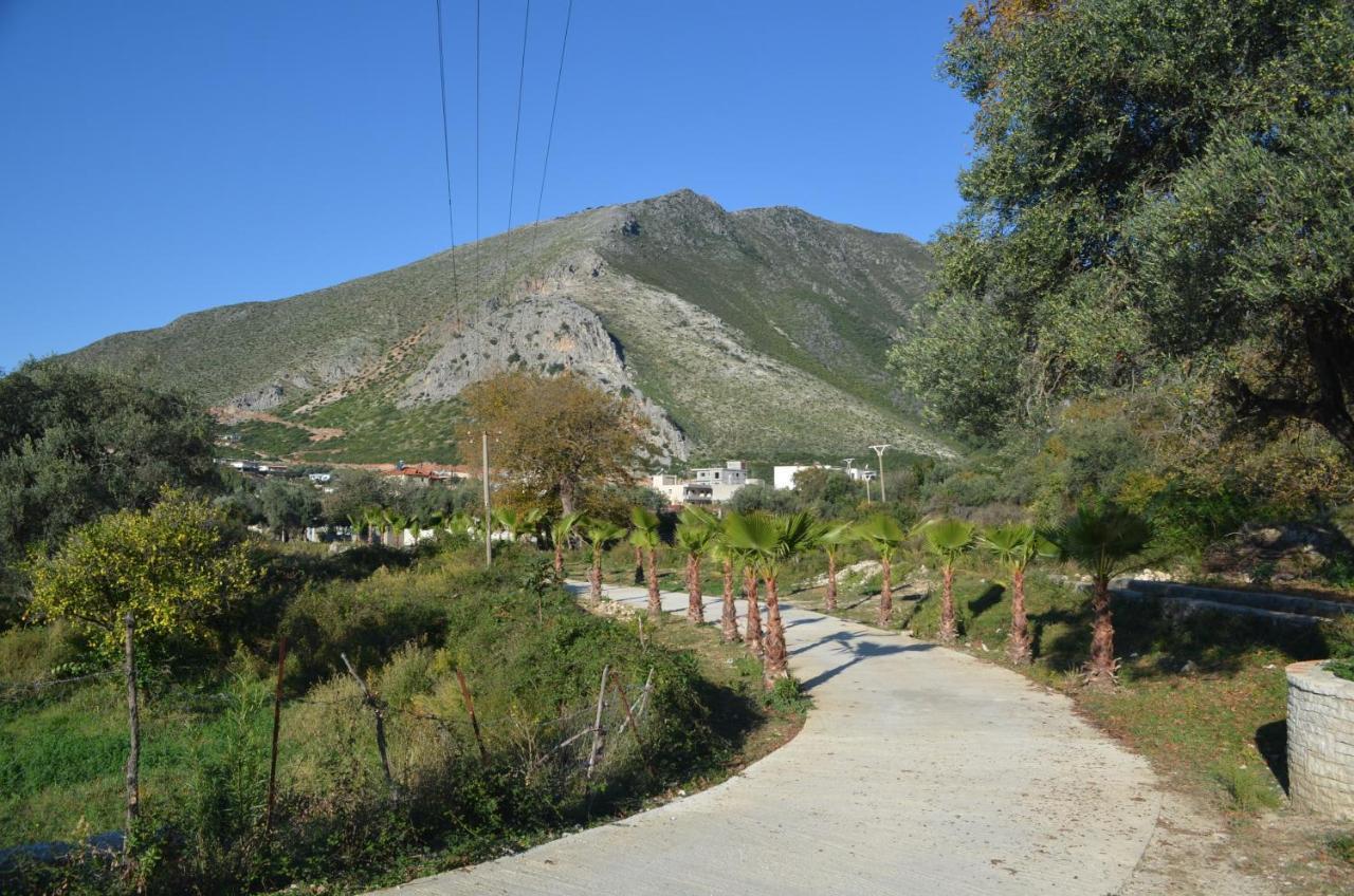 Vila Florika Hotel Borsh Exteriér fotografie